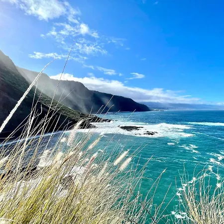 Estudio Con Wifi Y Inolvidable Vistas Directamente Al Mar En Mesa Del Mar 塔科龙特